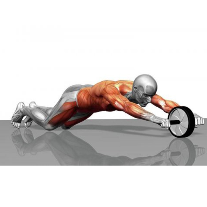 AbTrainer, una ruota da allenamento con impugnature imbottite - Image 9
