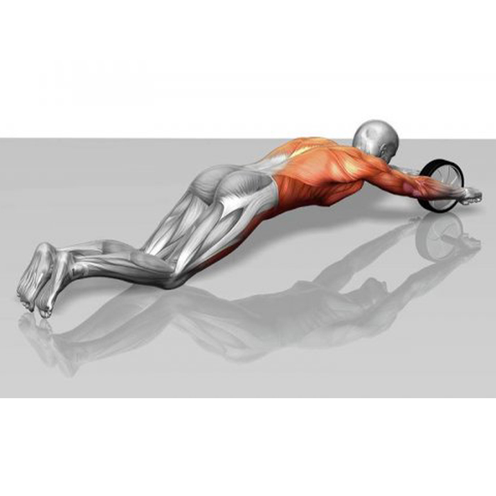 AbTrainer, una ruota da allenamento con impugnature imbottite - Image 10