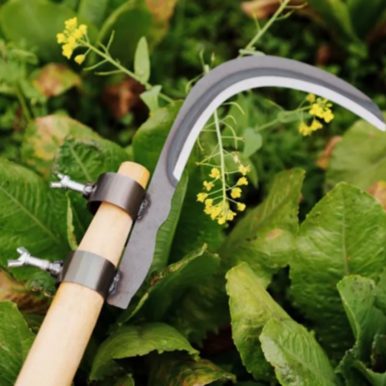 AgroTool, Taglia Rami, Erbacce, Spine e Vegetazione - Image 5