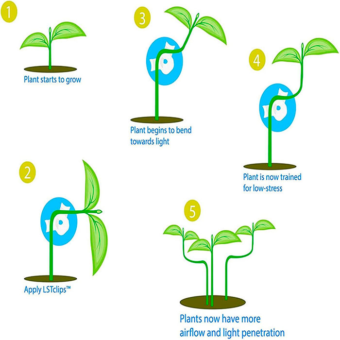 AnglePlant, guide per la crescita delle piante (30 pezzi) - Image 7