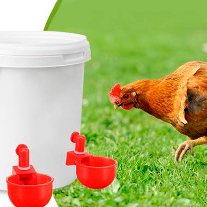 ChickenBowl, abbeveratoio per galline e altro pollame (6 pezzi) - Image 8