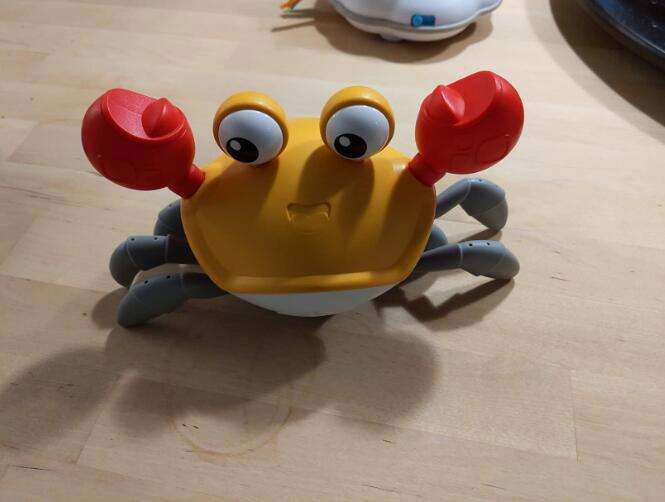 CrawlingCrab, un granchio interattivo che si muove quando ti avvicini