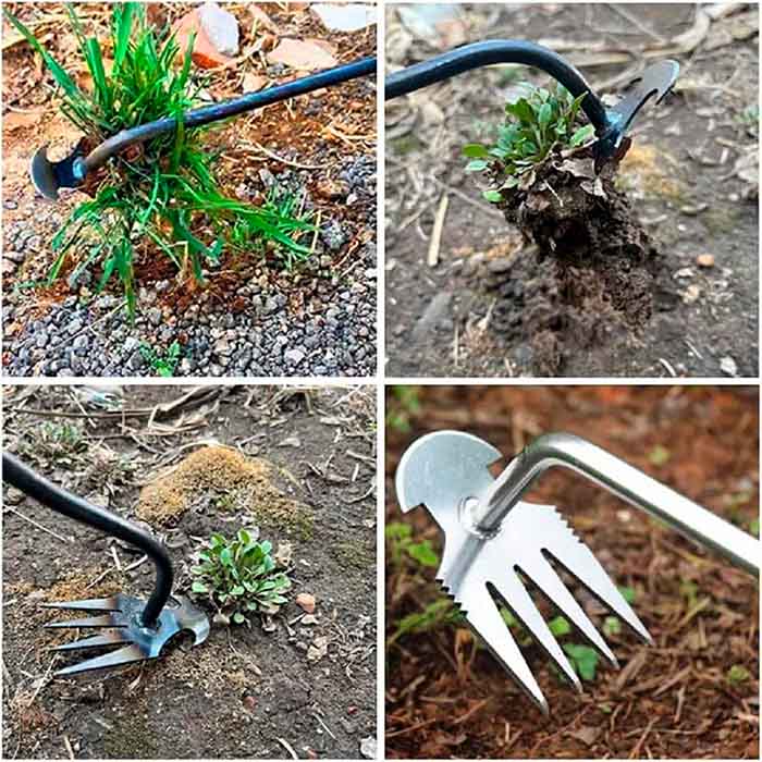 Sradicare le erbacce dal tuo giardino!