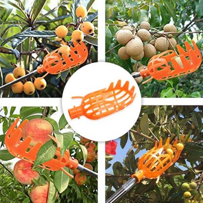 FruitBasket, Cesto per la Raccolta della Frutta - Image 2