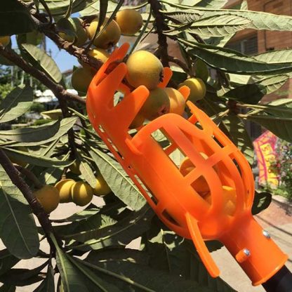 FruitBasket, Cesto per la Raccolta della Frutta - Image 3