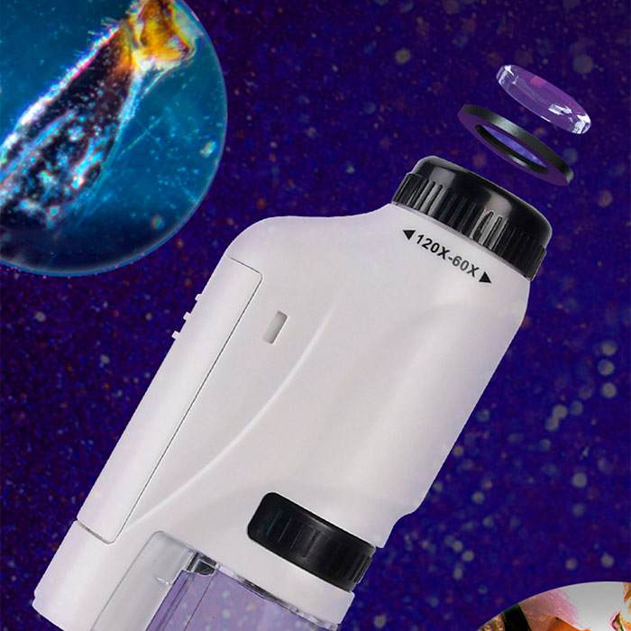 MicroscopeKit, microscopio portatile per bambini - Image 4