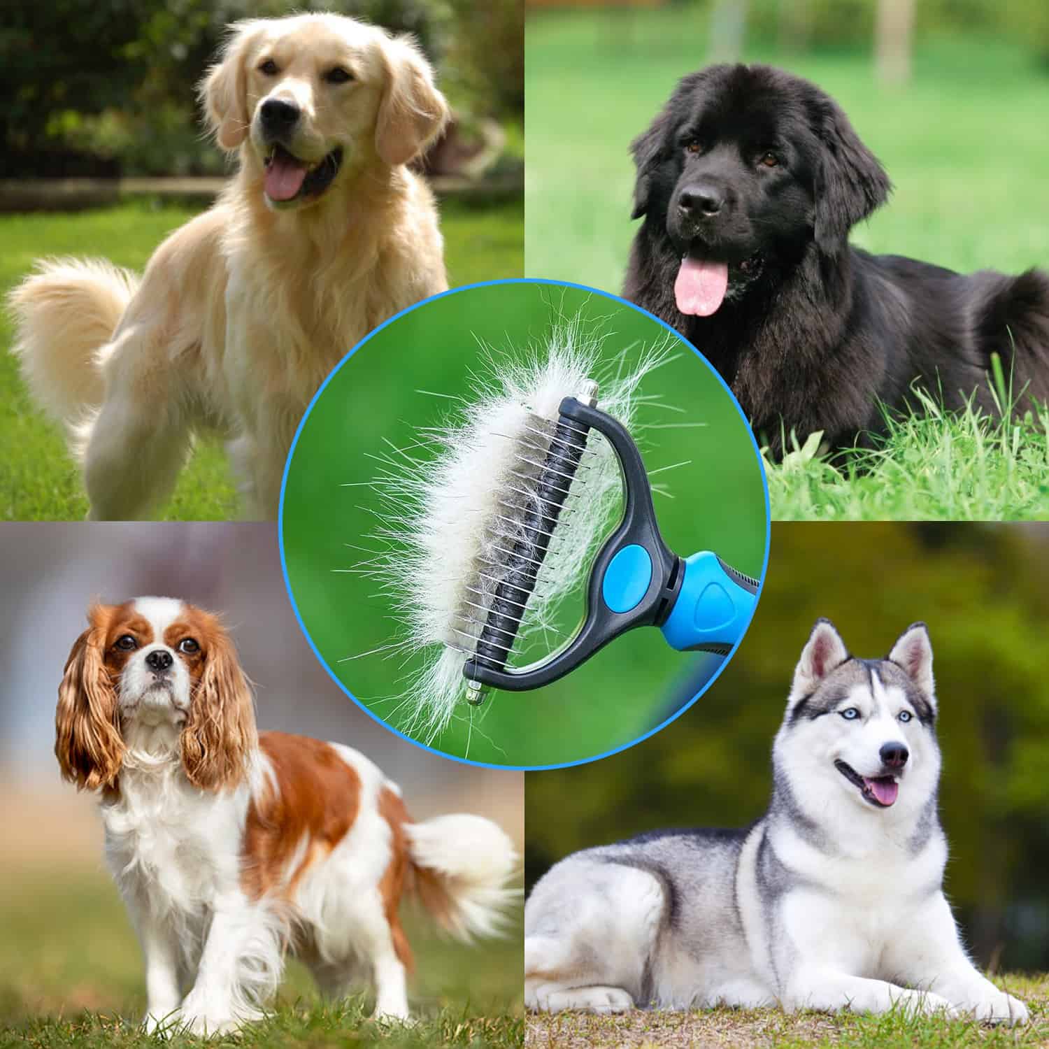 La spazzola a doppia faccia per districare è adatta per cani, gatti, conigli, cavalli e molti altri animali domestici pelosi.