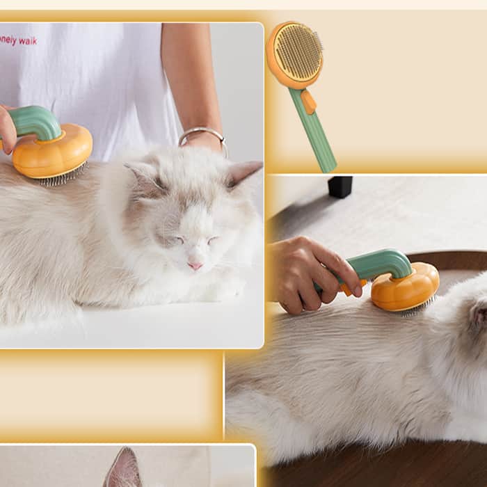 PumpkinComb, una spazzola per animali domestici con un pulsante per una facile pulizia
