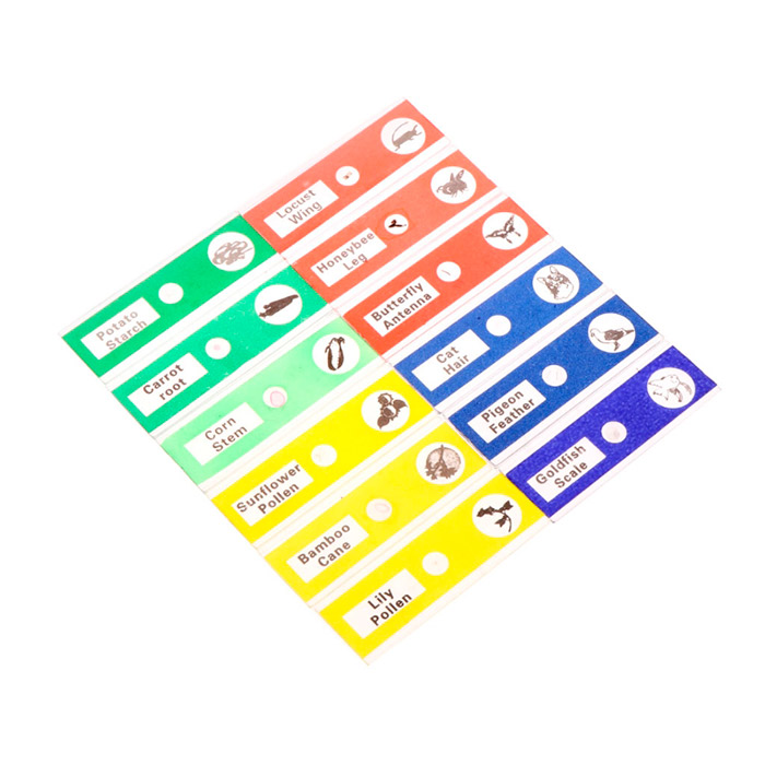 Vetrini, set di vetrini per microscopio (12 pezzi) - Image 1