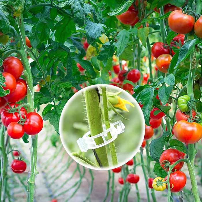 Adatto per supportare diversi tipi di piante come pomodori, cetrioli, piante da appartamento, ecc.