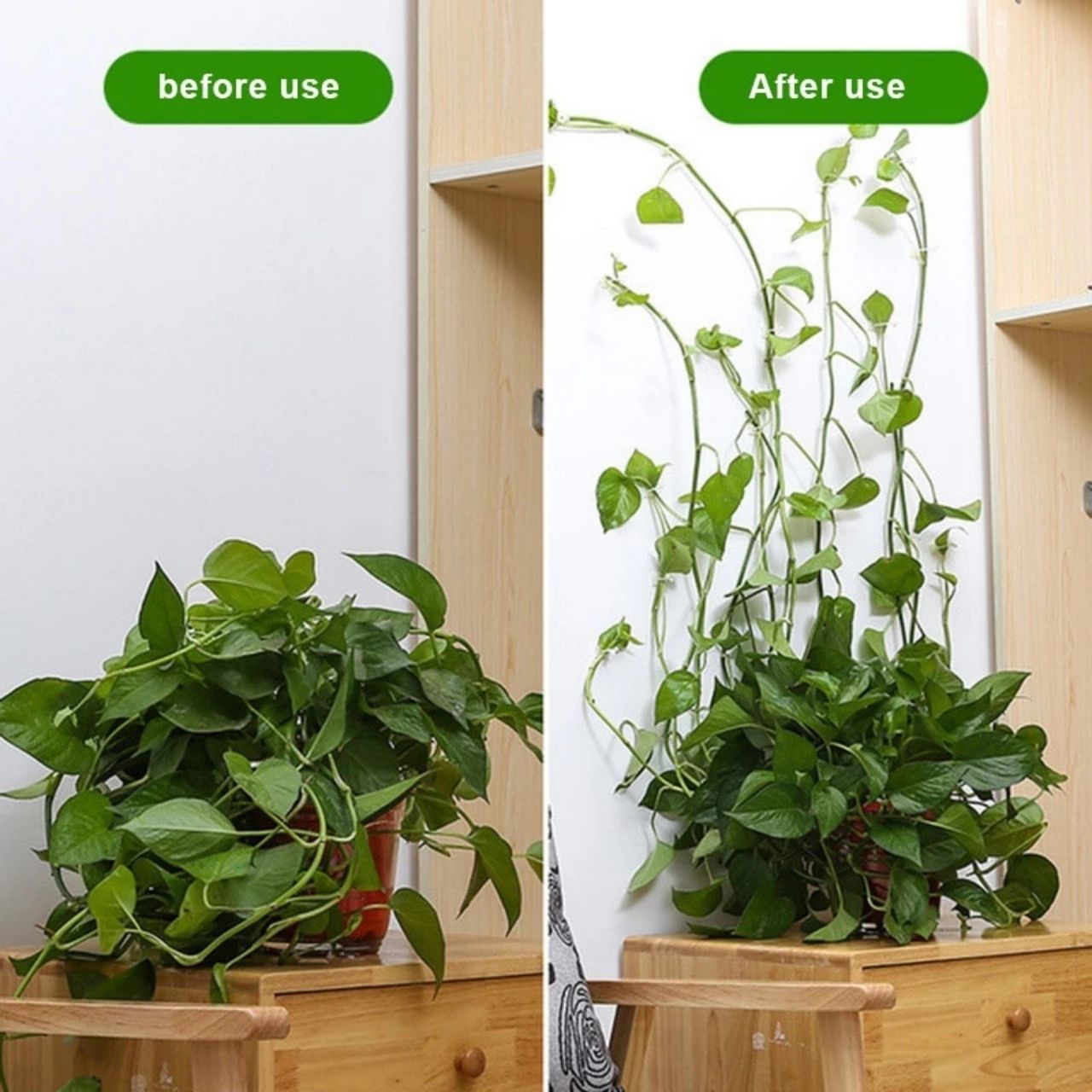 Vines, supporti per piante autoadesivi e rampicanti (100 pezzi) - Image 5