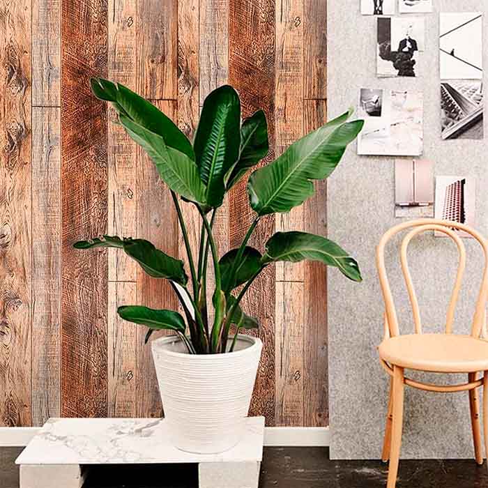 VintageWall, adesivo autoadesivo con aspetto di legno naturale (300 x 45 cm) - Image 7