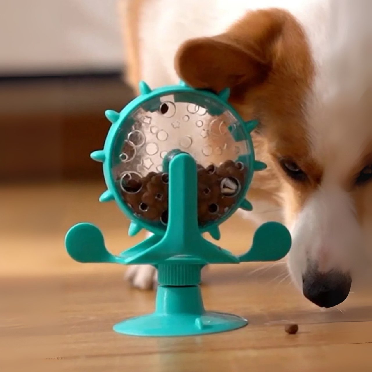 WheelToy, giocattolo interattivo rotante per cibo per gatti e cani - Image 9